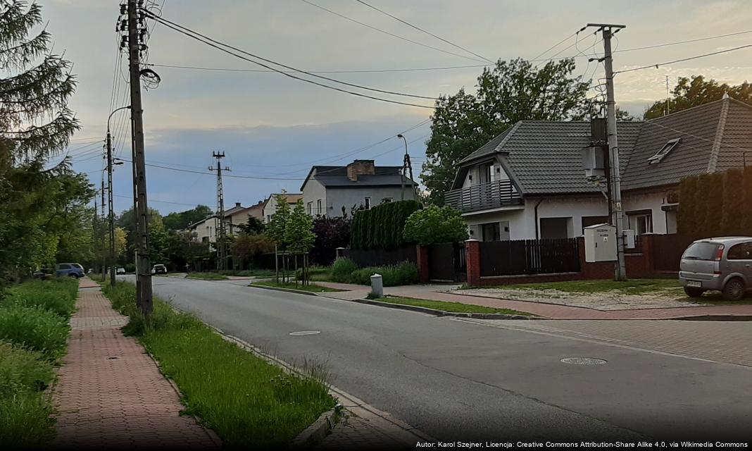 Kampania „Czujka na straży Twojego bezpieczeństwa” w Grodzisku Mazowieckim